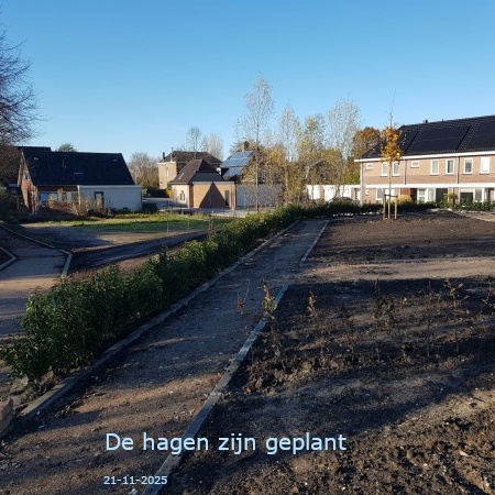 Hagen geplant