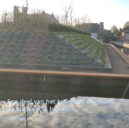 Het talud beplant