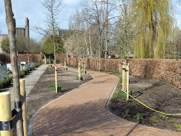 Nieuwe pad met bomen